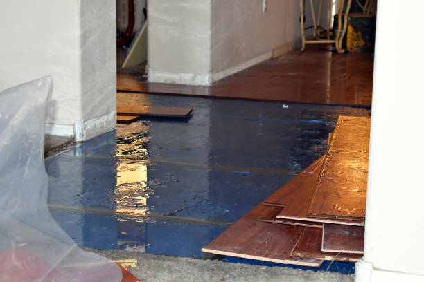 Professional Water Extraction technician working in Staley, NC